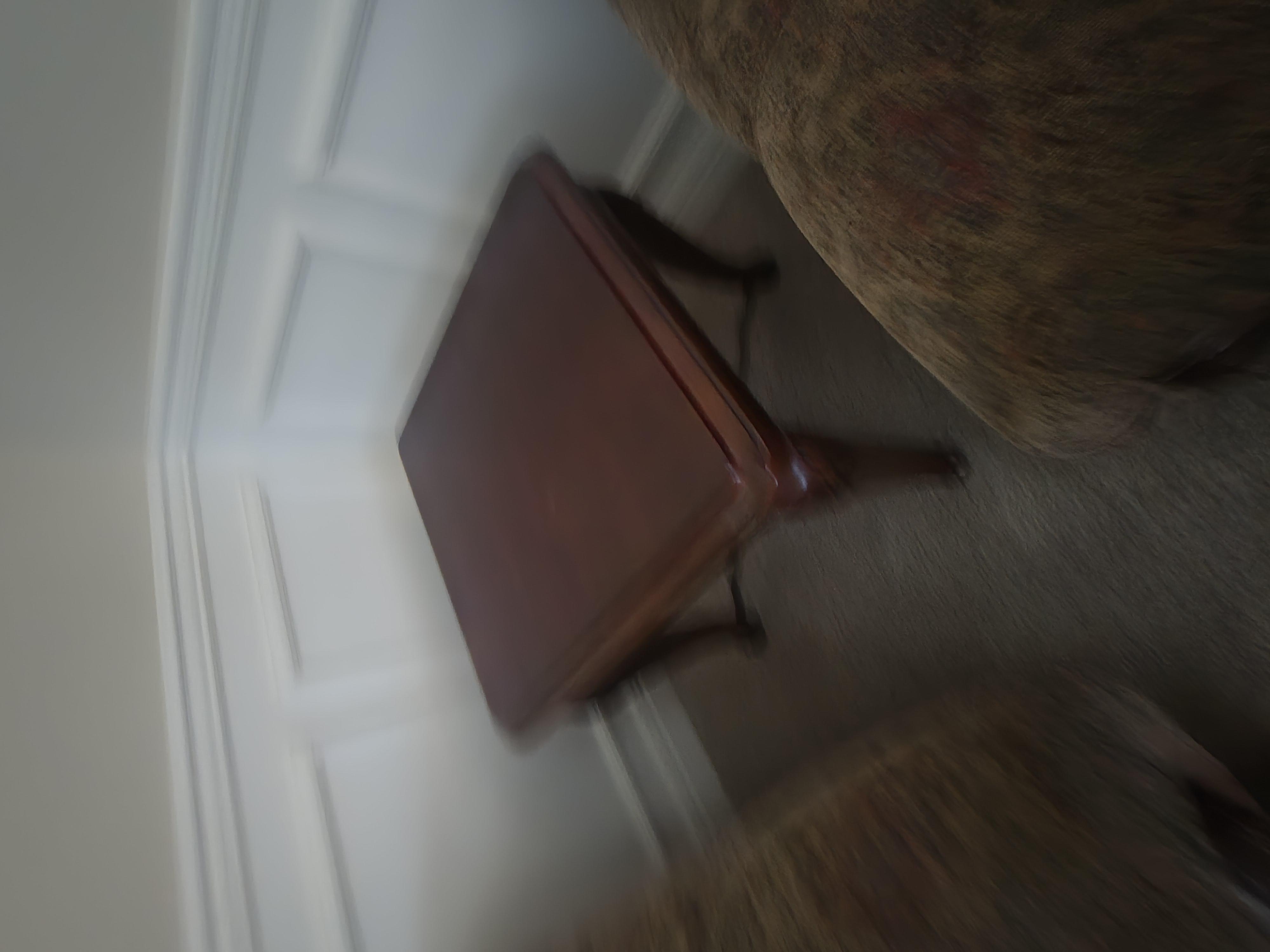 1000079102.jpg